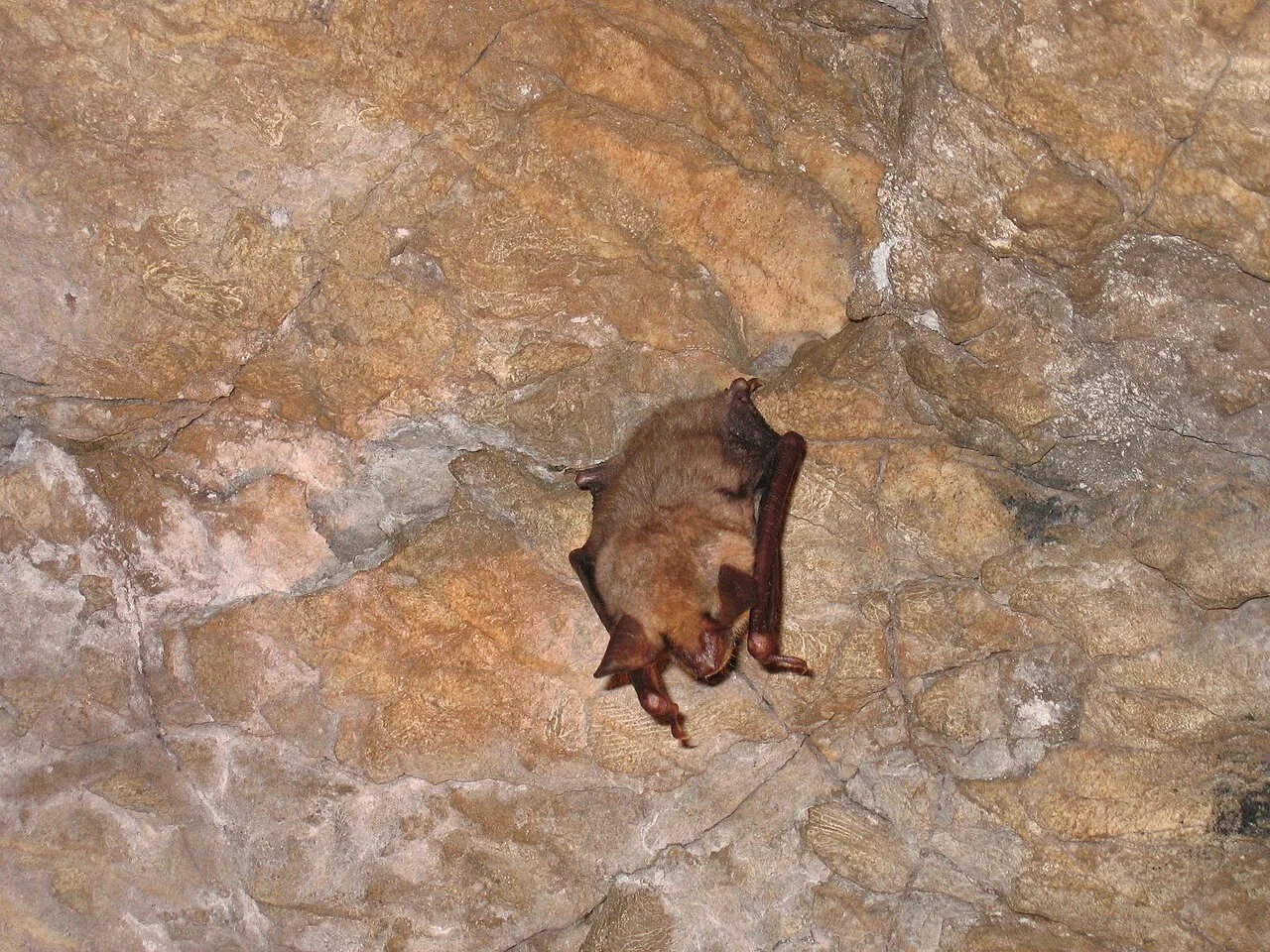 Aggertalhöhle