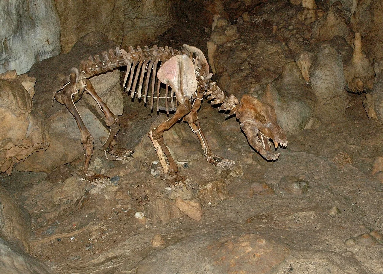 Karls- und Bärenhöhle