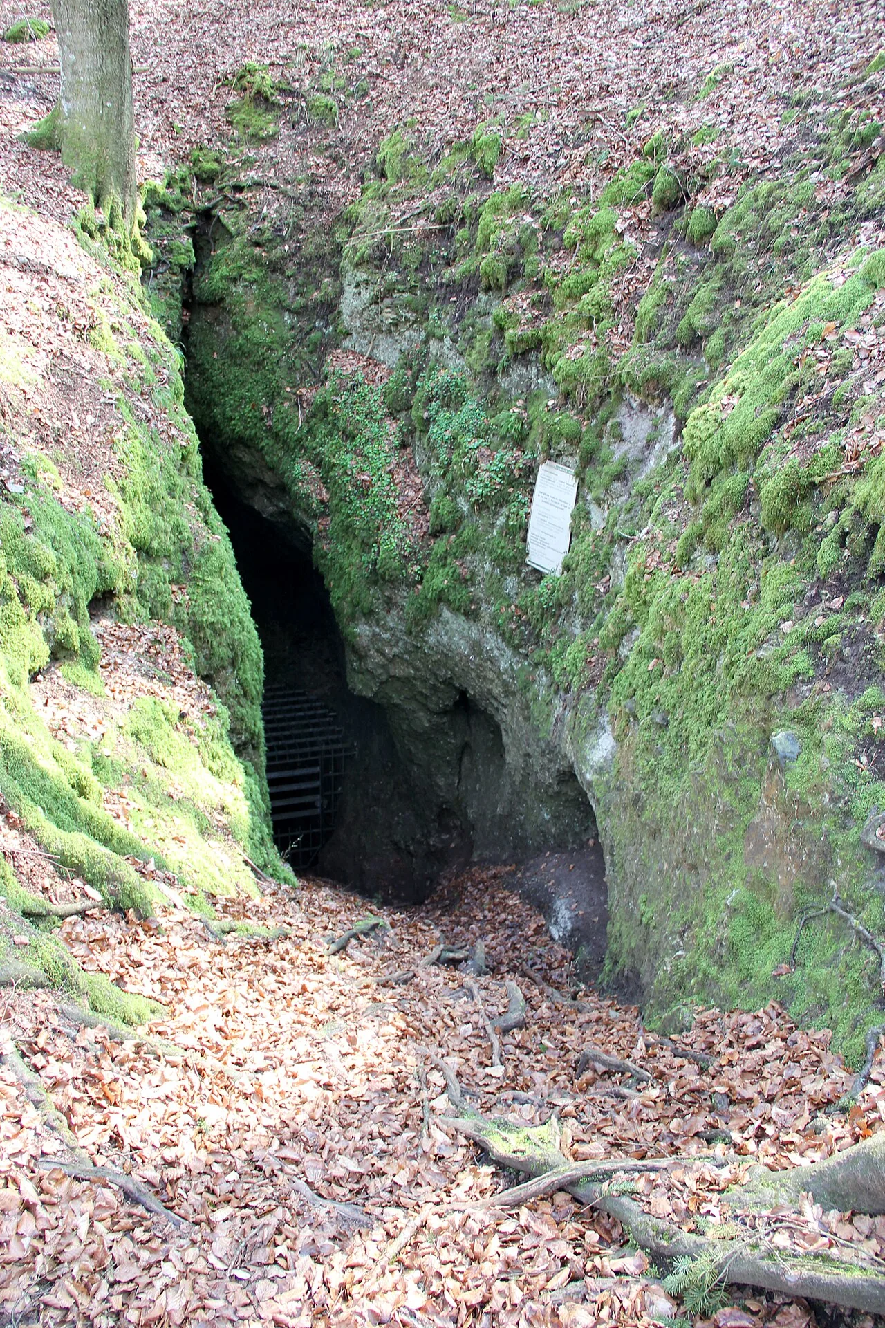 Bismarckgrotte bei Rinnenbrunn