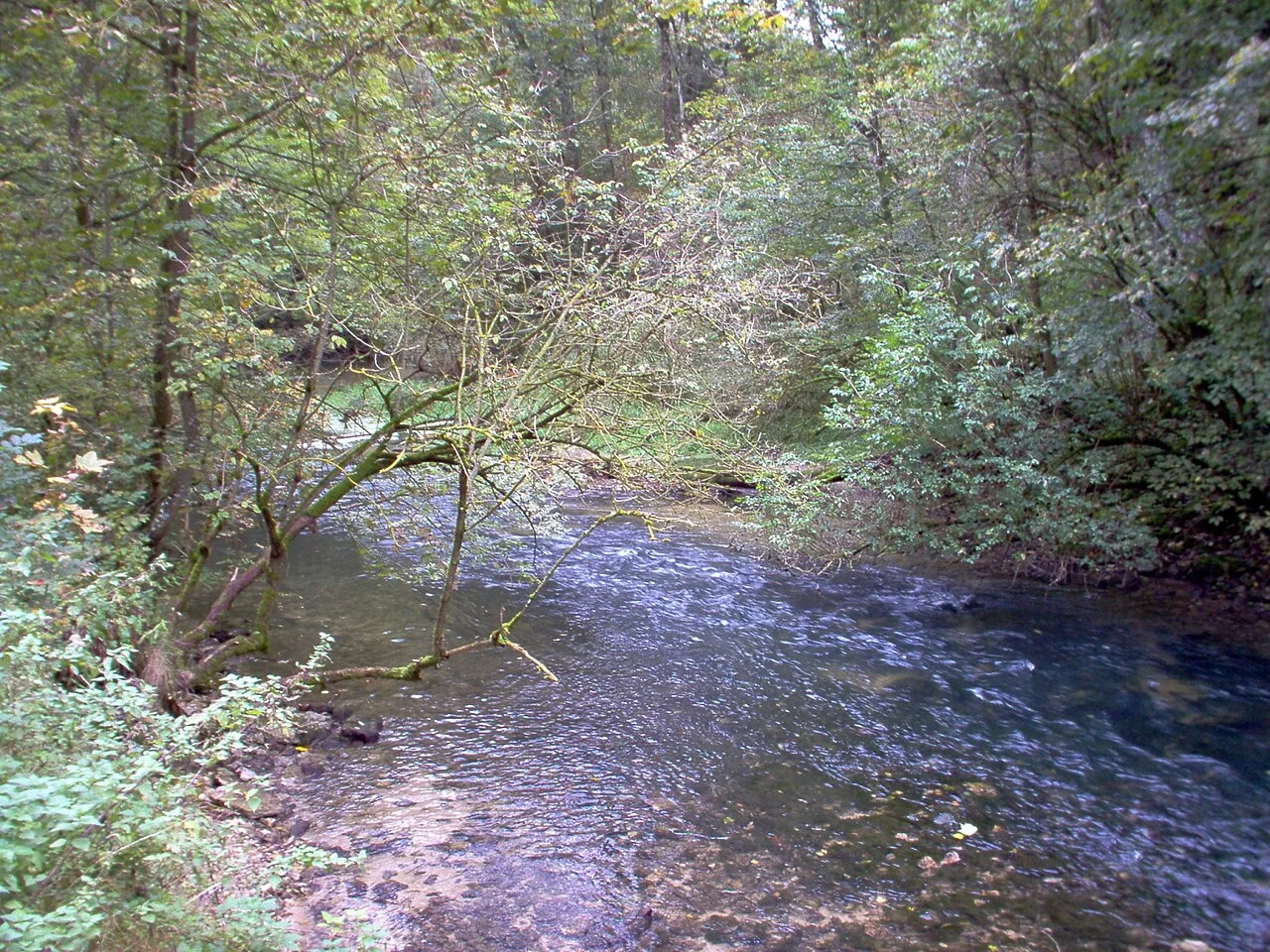 Bittelschießer Höhle
