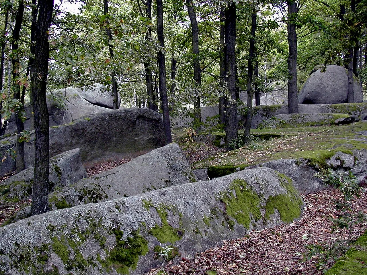 Blockheide