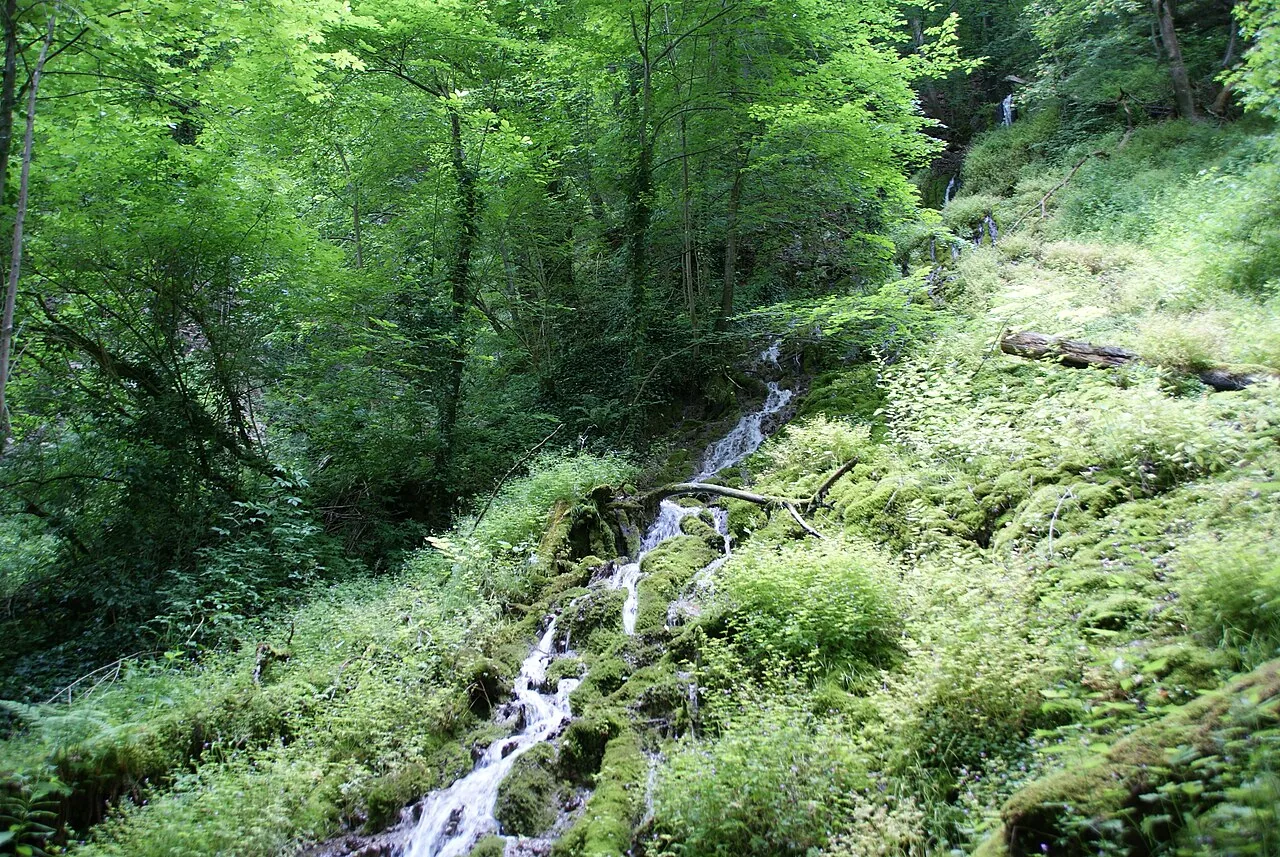 Brunnensteighöhle