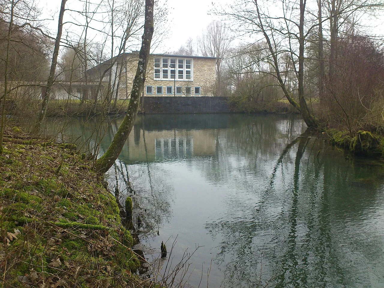 Buchbrunnenquelle
