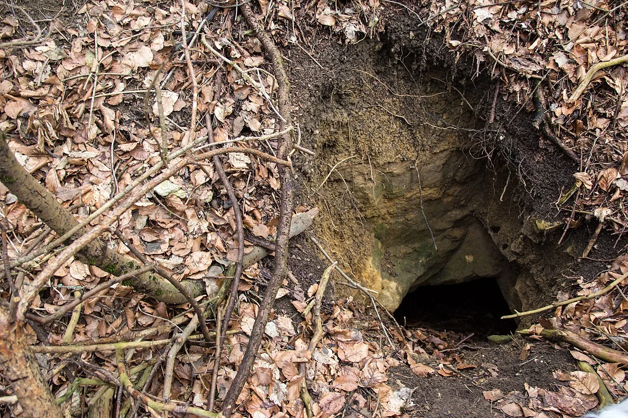 Bucher Höhle (Dillberg)