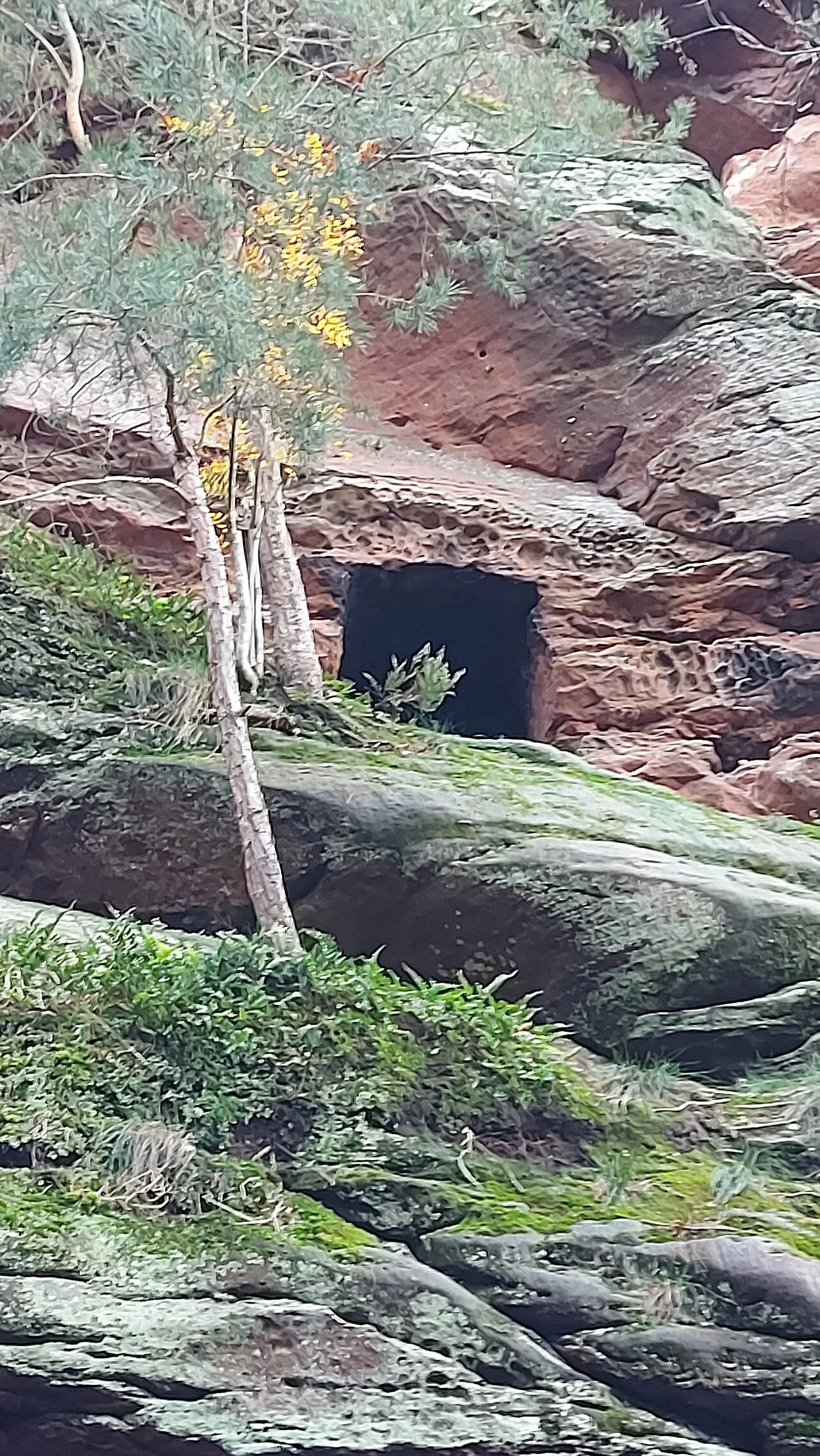 Buchkammer (Höhle)
