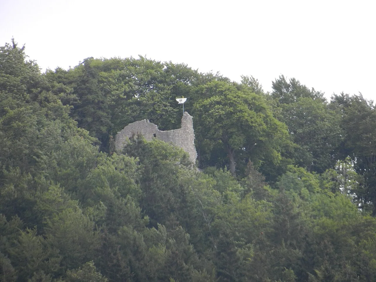 Burg Hölnstein
