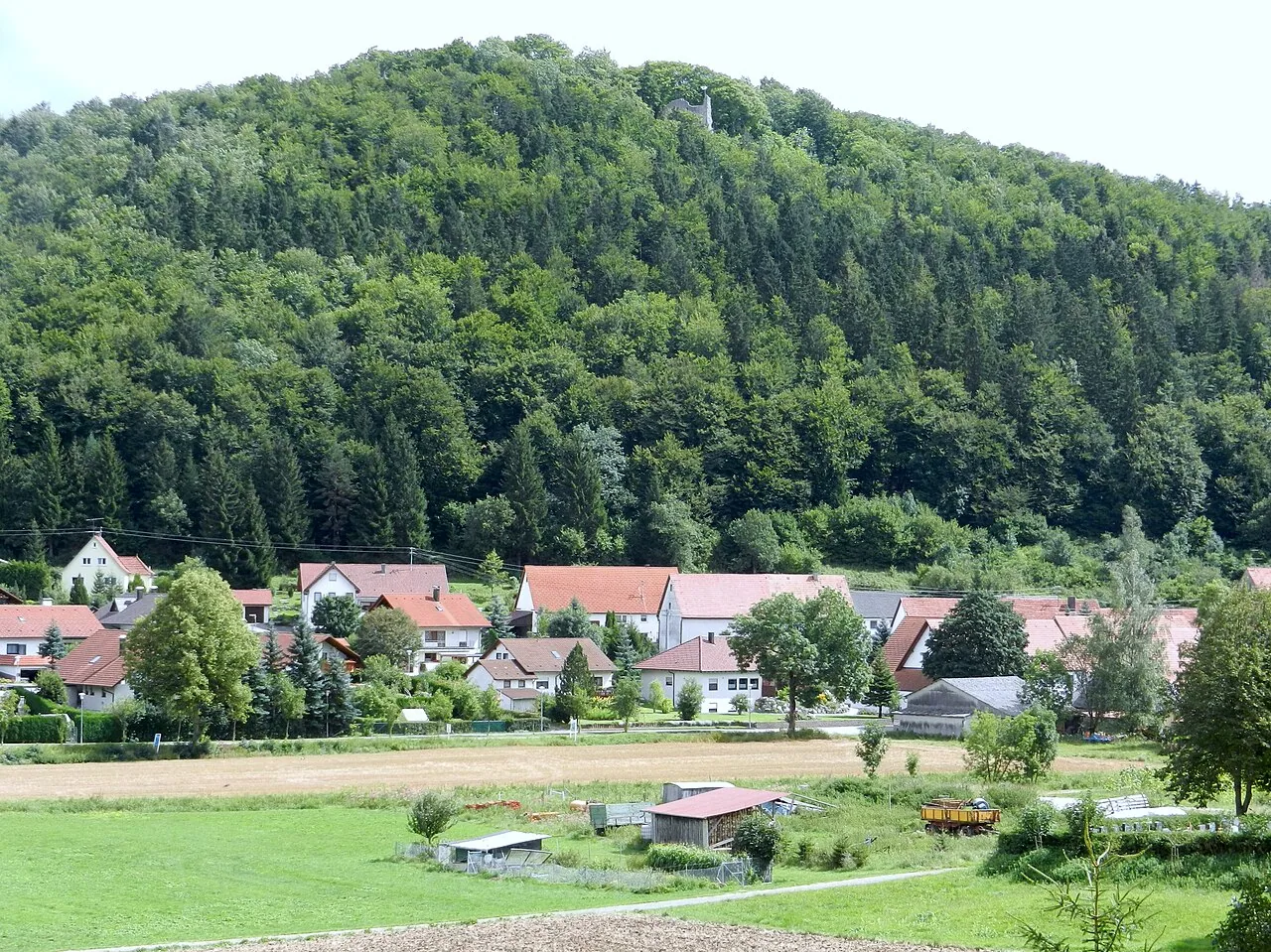 Burg Hölnstein