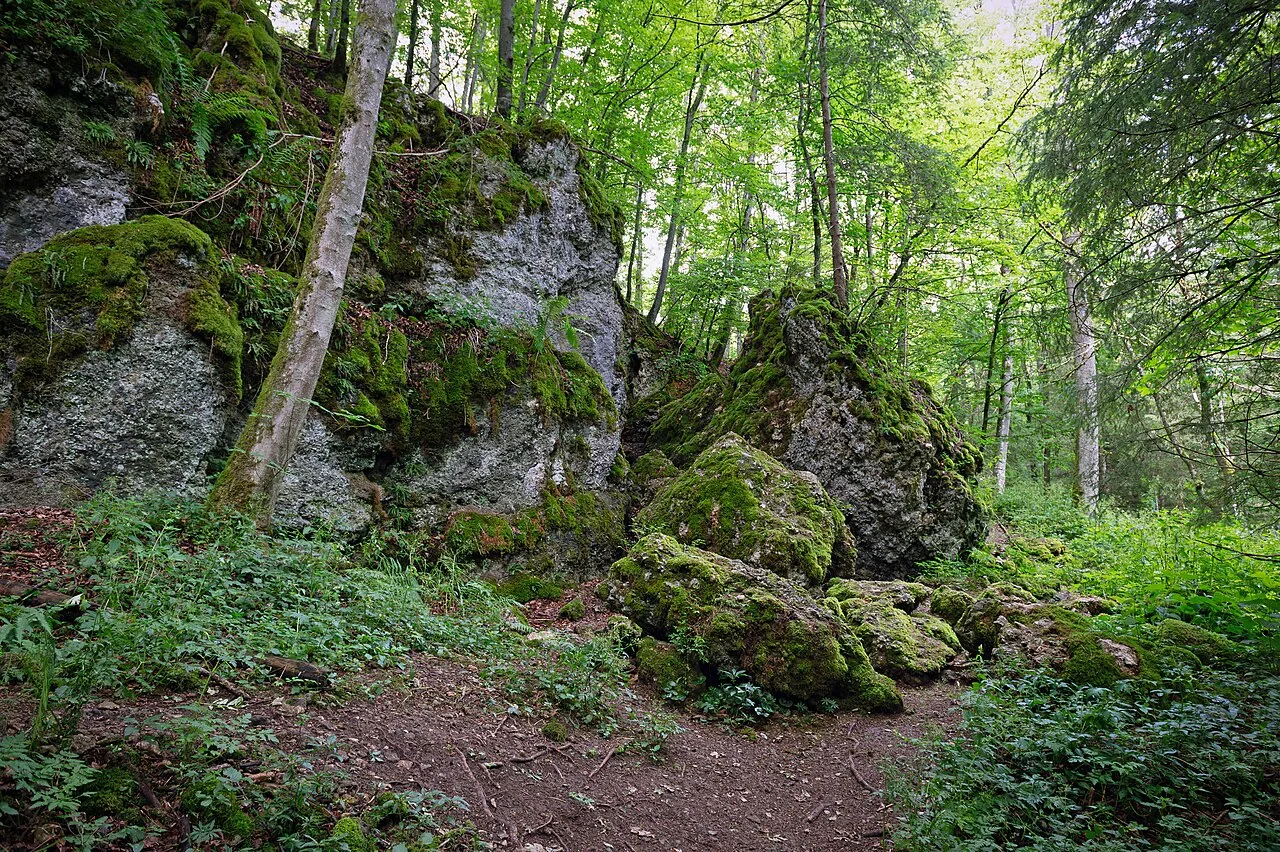Burkhardtshöhle