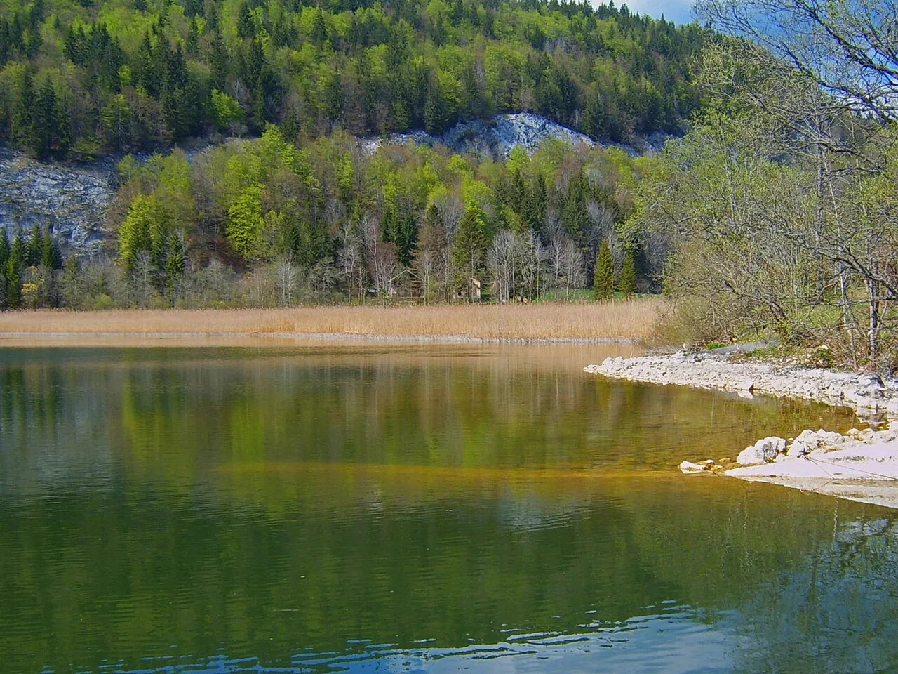 Cave à la Metsire