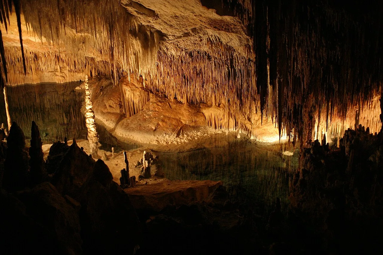 Coves del Drac