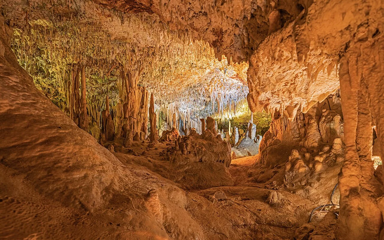 Coves dels Hams