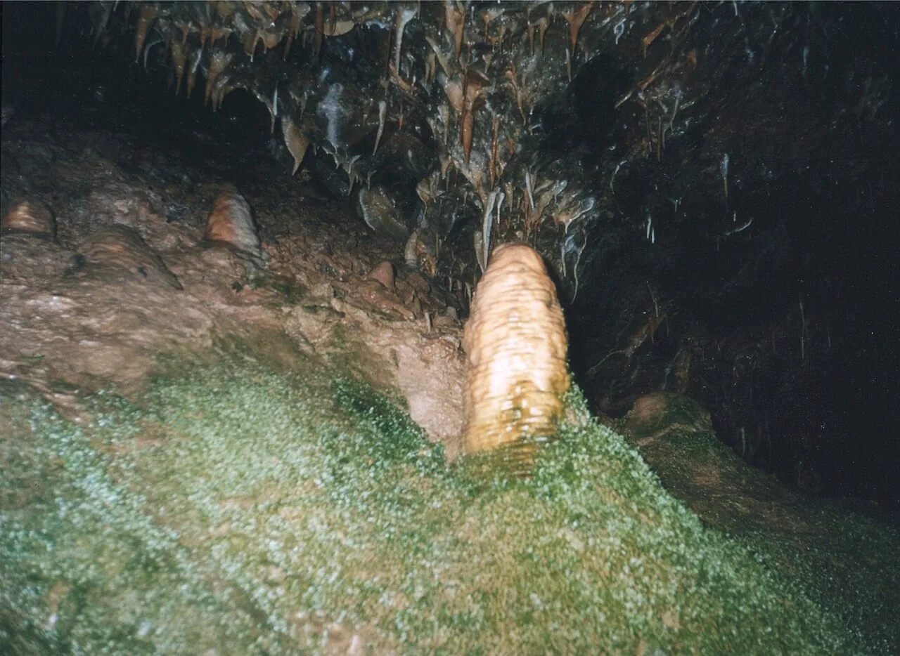 Drachenhöhle Syrau