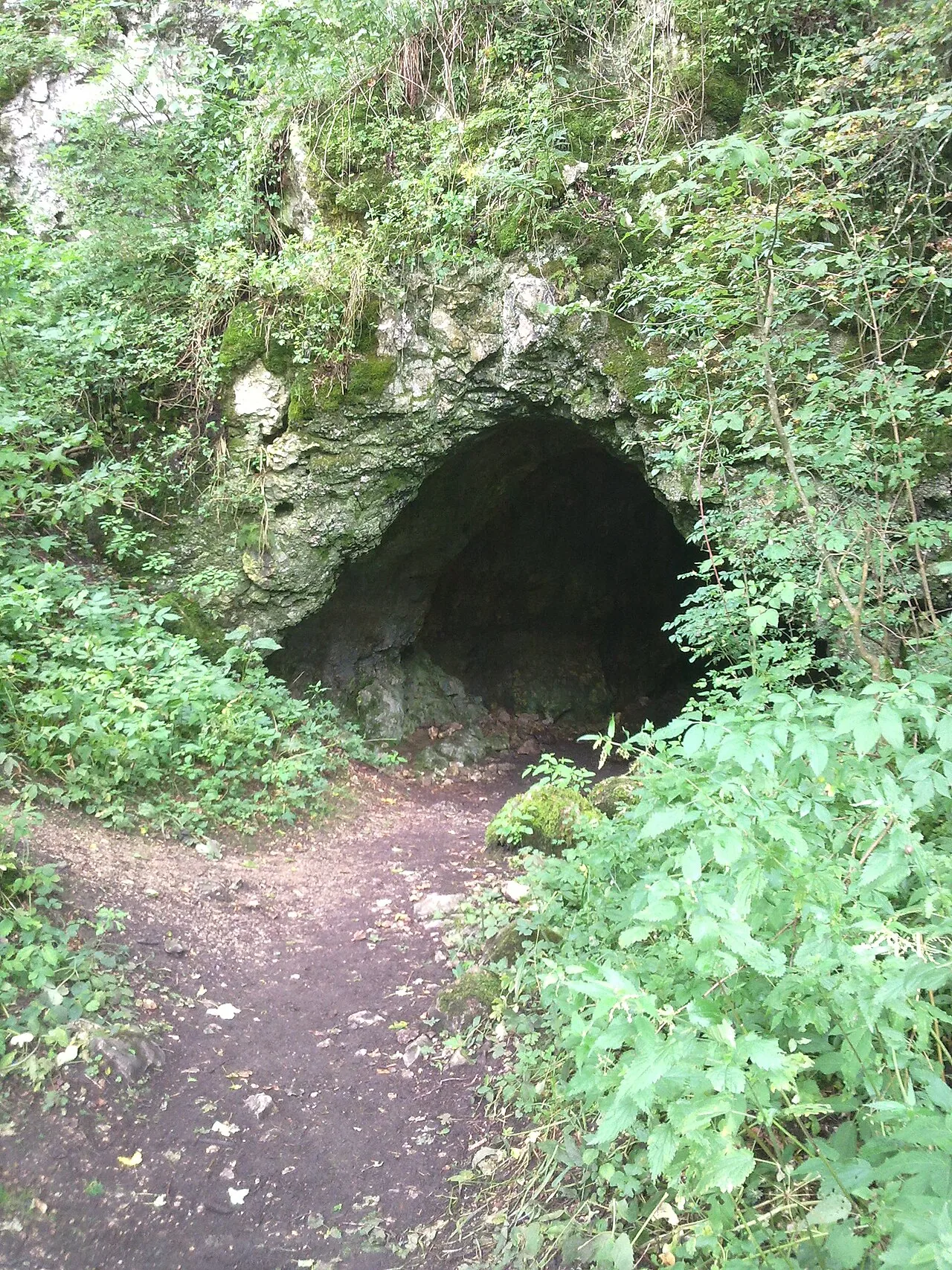 Hohlenstein