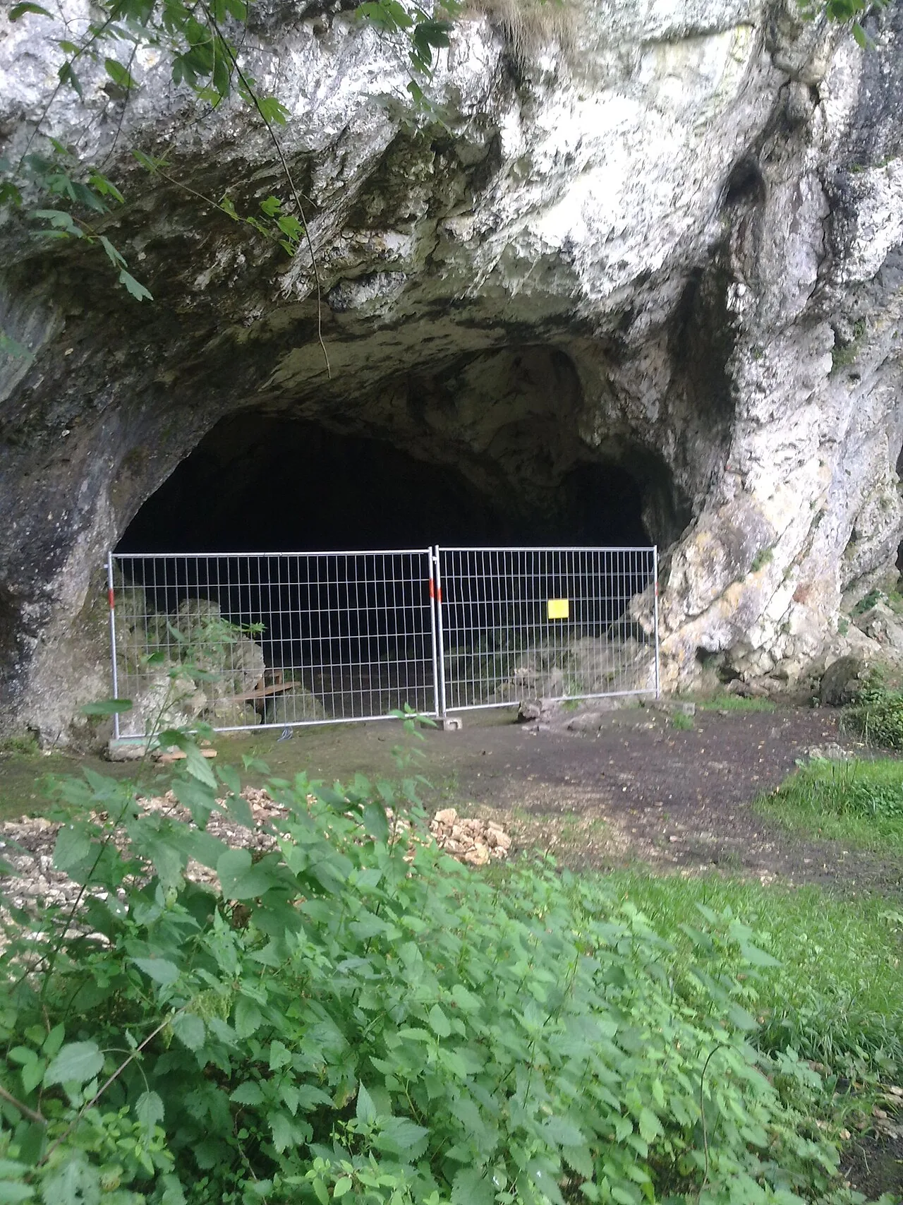 Hohlenstein