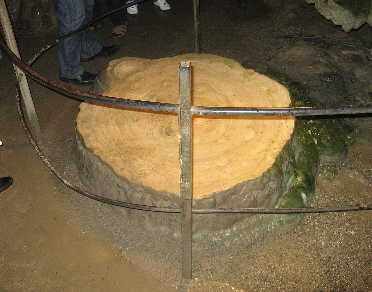 Nebelhöhle