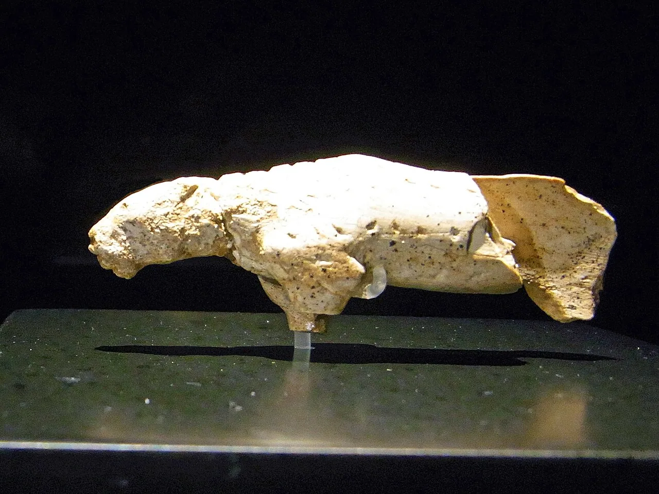 Vogelherdhöhle